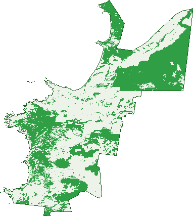Where the trees are in Marrawah