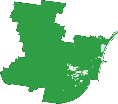 Where the trees are in Bournda