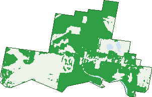Where the trees are in Doonbah