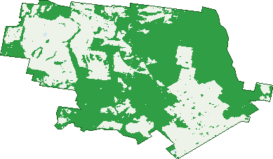 Where the trees are in Jetsonville