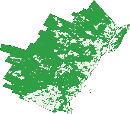 Where the trees are in Franklin