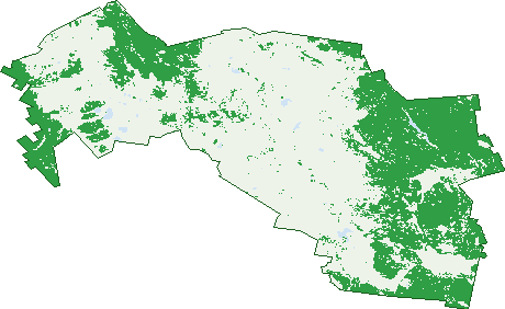 Where the trees are in Ross