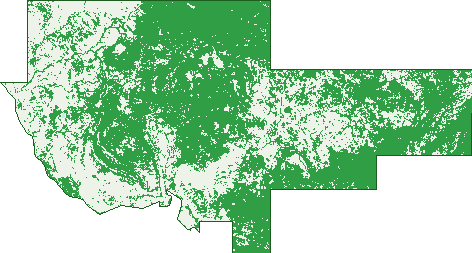 Where the trees are in Nitmiluk