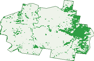 Where the trees are in Lewinsbrook
