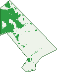 Where the trees are in Palmerston City