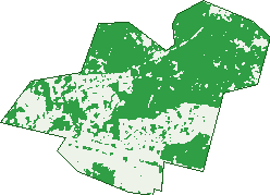 Where the trees are in Katherine East