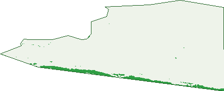 Where the trees are in Mount Johns
