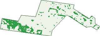 Where the trees are in Hamilton South