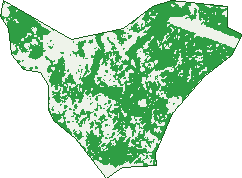Where the trees are in Barunga
