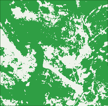 Where the trees are in Belyuen