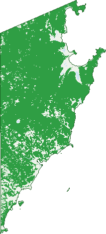 Where the trees are in Numburindi