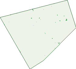 Where the trees are in Alpurrurulam