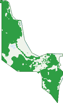 Where the trees are in Yirrkala