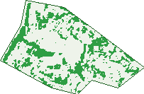 Where the trees are in Wulagi
