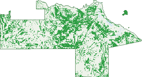 Where the trees are in Limmen
