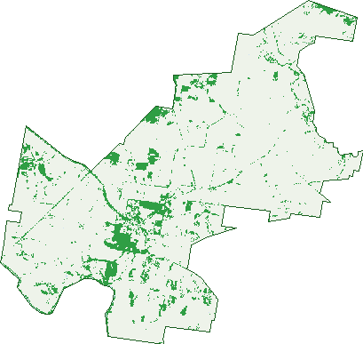 Where the trees are in Geurie
