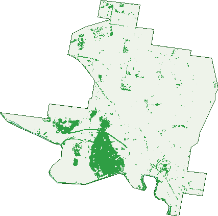 Where the trees are in Maryvale