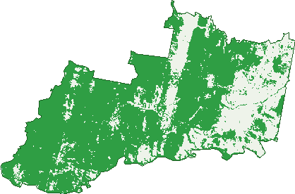 Where the trees are in Hill End