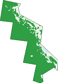 Where the trees are in Koolewong