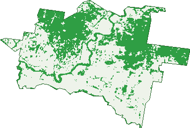 Where the trees are in Nemingha