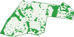 Where the trees are in Lake Haven