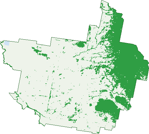 Where the trees are in Piallaway