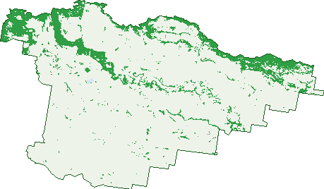 Where the trees are in Burraboi