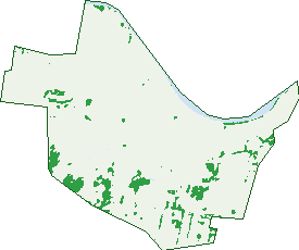 Where the trees are in Berry Park
