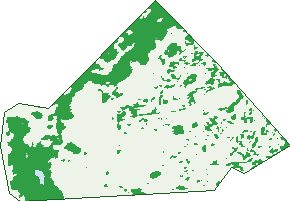 Where the trees are in Kearns