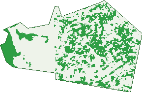 Where the trees are in Whalan
