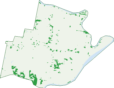 Where the trees are in Millers Forest
