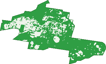 Where the trees are in Kincumber
