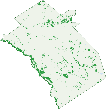 Where the trees are in Bogan