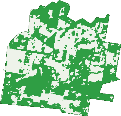 Where the trees are in Lynwood