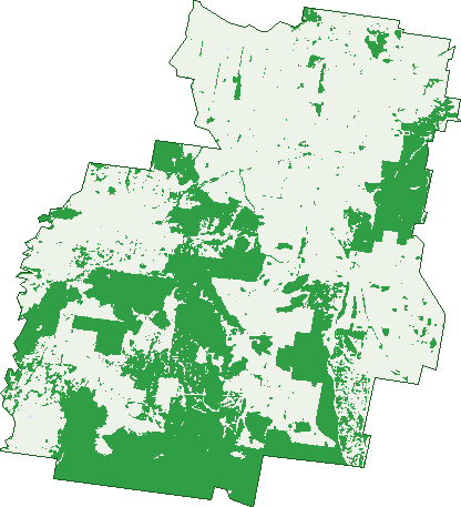 Where the trees are in Triangle Flat