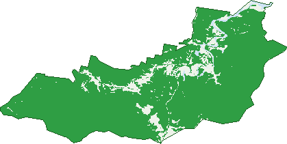 Where the trees are in Kiah