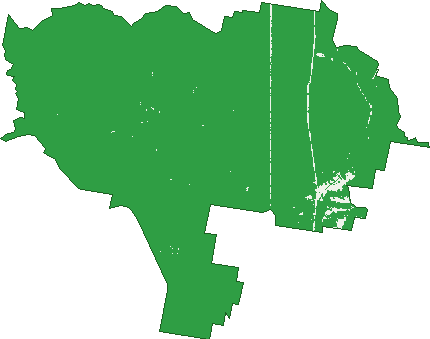 Where the trees are in Banyabba