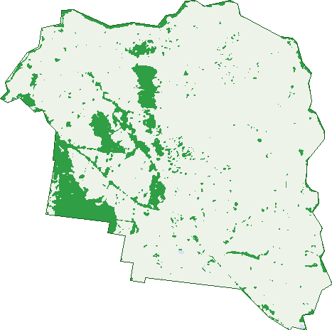 Where the trees are in Menah