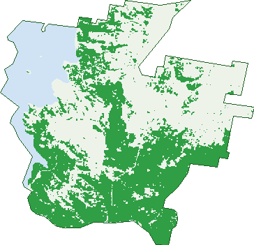 Where the trees are in East Jindabyne