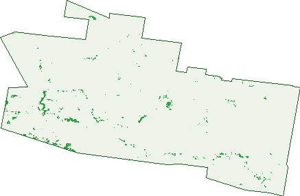 Where the trees are in Tantonan