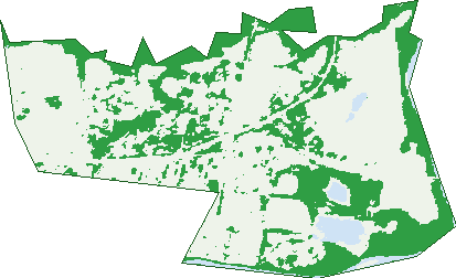 Where the trees are in Warwick Farm