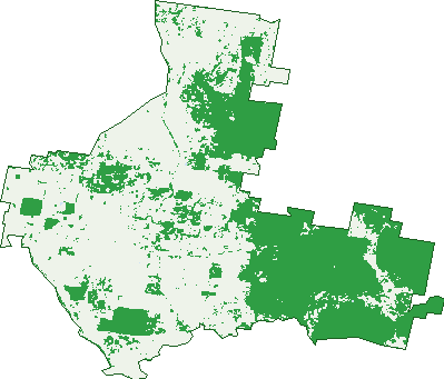 Where the trees are in Bellmount Forest