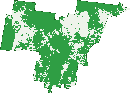 Where the trees are in Carcalgong