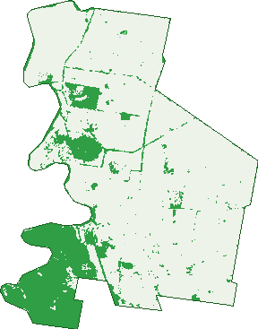 Where the trees are in Arthurville