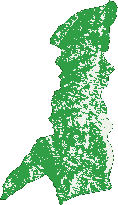 Where the trees are in Bumbalong