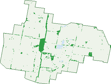 Where the trees are in Redlands