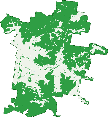Where the trees are in Olinda
