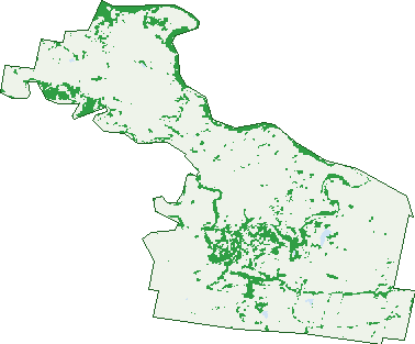 Where the trees are in Kameruka