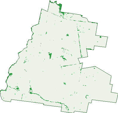 Where the trees are in Brookdale