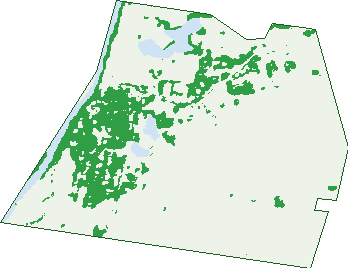 Where the trees are in Bolwarra